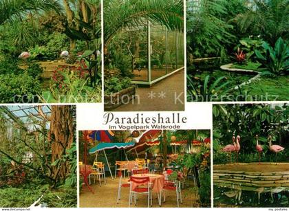 Walsrode Lueneburger Heide Vogelpark Paradieshalle