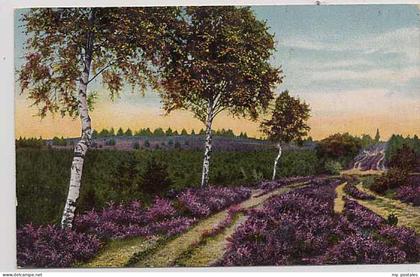 Walsrode Lueneburger Heide Walsrode Borg