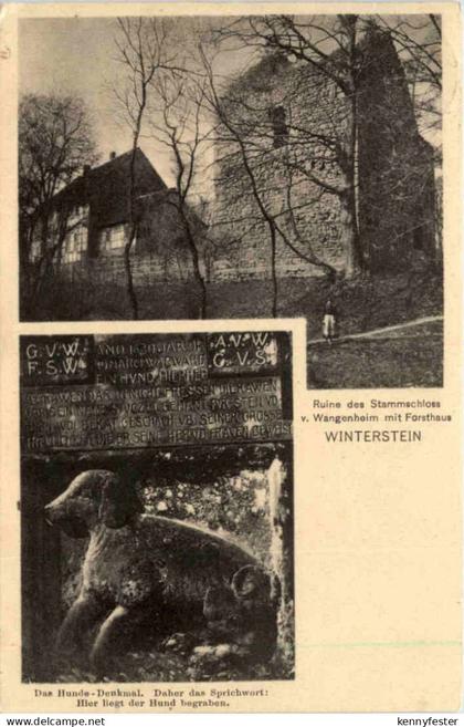 Waltershausen, Ruine des Stammschloss v. Wangenheim, Winterstein