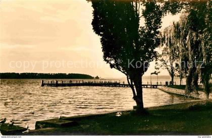 Waren Mueritz Uferpartie an der Mueritz Mecklenburgische Seenplatte