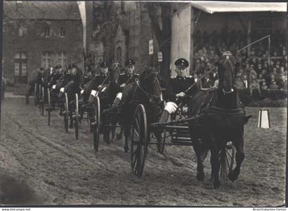 13808479 - Warendorf