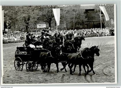 40131201 - Warendorf