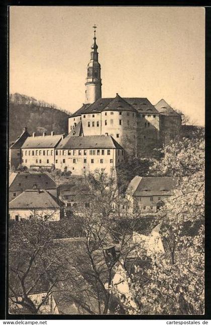 AK Weesenstein, Schloss