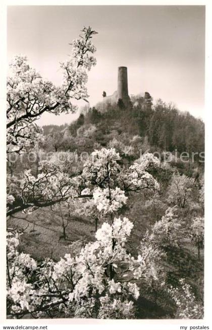 Weinheim Bergstrasse Burgruine Windeck