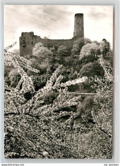 Weinheim Bergstrasse Burgruine Windeck