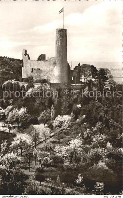 Weinheim Bergstrasse Burgruine Windeck