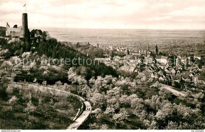 Weinheim Bergstrasse Panorama