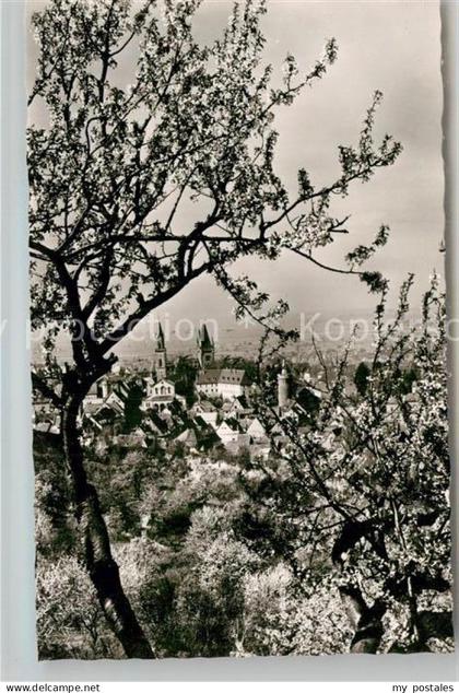 Weinheim Bergstrasse Panorama