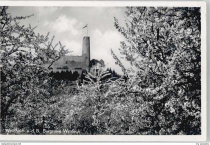 Weinheim Bergstrasse Ruine Windeck