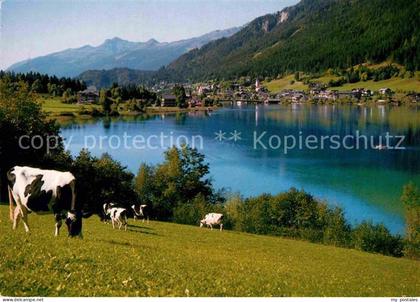 Weissensee Kaernten Panorama