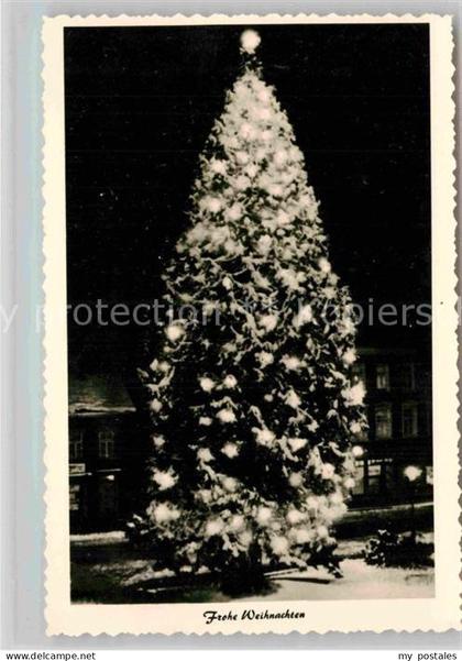 Wermelskirchen Mammutkiefer Weihnachtsbaum