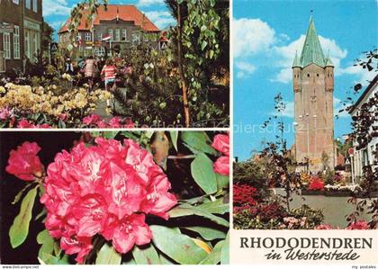 Westerstede Ammerland Niedersachsen Rhododendren Blumenmarkt Kirchturm Marktplat
