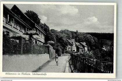 13988915 - Wildemann