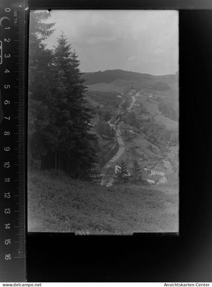 30023244 - Wildemann