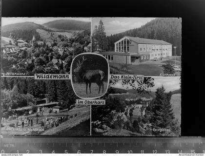 30047406 - Wildemann