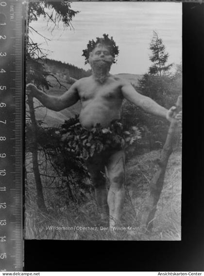 30047468 - Wildemann