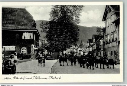 38015396 - Wildemann