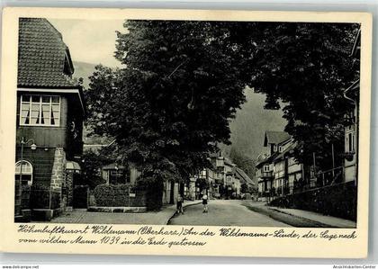 39929016 - Wildemann