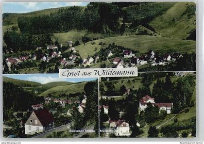 50971900 - Wildemann