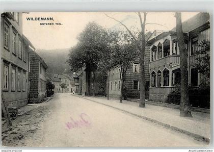 51916169 - Wildemann