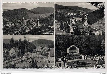 Wildemann Harz Goslar Niedersachsen Wildemann
