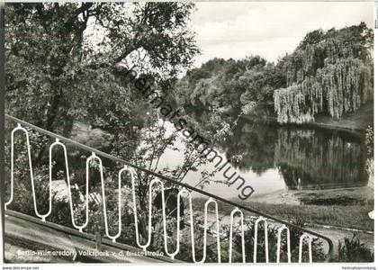 Berlin - Wilmersdorf - Volkspark von der Blissestrasse - Foto-Ansichtskarte - Verlag Kunst und Bild Berlin