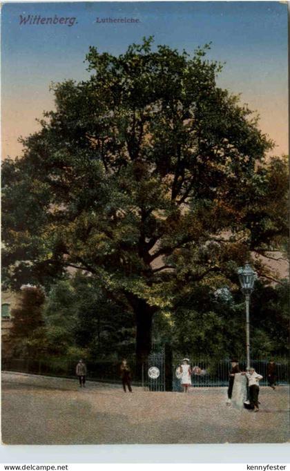 Wittenberg, Luthereiche