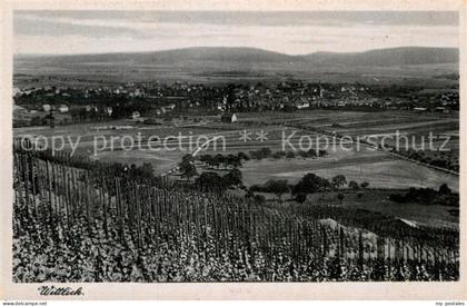 Wittlich Gesamtansicht