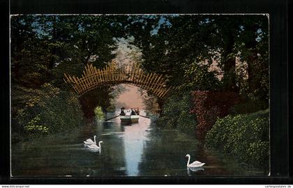 AK Wörlitz, Flusspartie mt Sonnenbrücke und Ruderboot