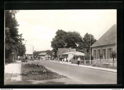 AK Zechlinerhütte / Neuruppin, Rheinsberger Strasse