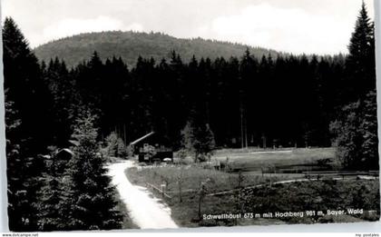 Zwiesel Niederbayern Zwiesel Gasthaus Schwellhaeusl