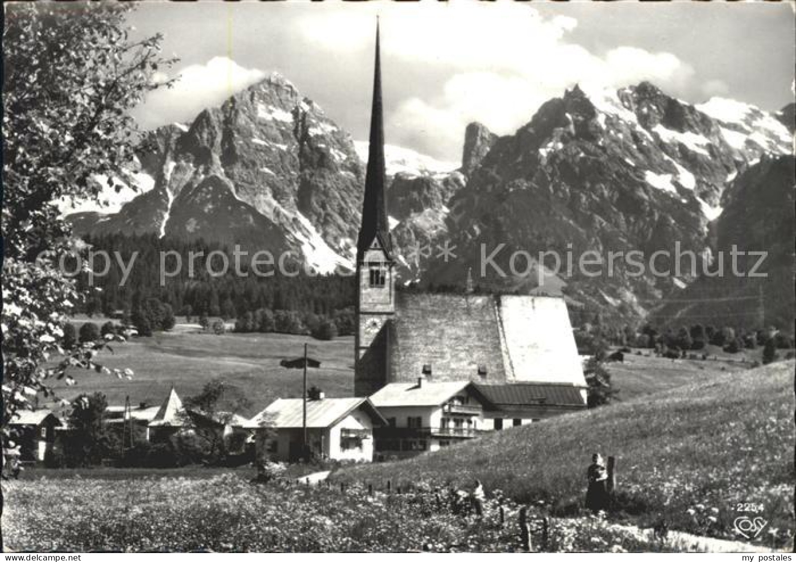 Alm Saalfelden Steinernen Meer