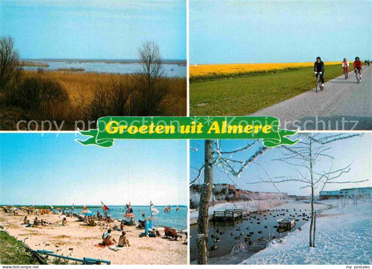 Almere Oostvaardersplassen Bloiend koolzaad Muiderzand Parkwerf