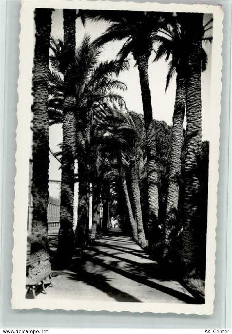 Almeria - Promenade San Luis - 11053425