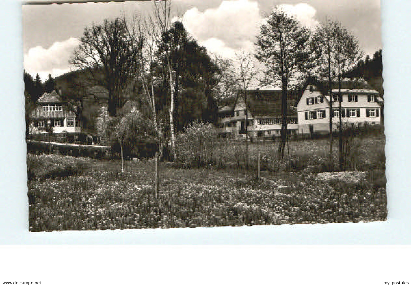 Alpirsbach Ehlenbogen