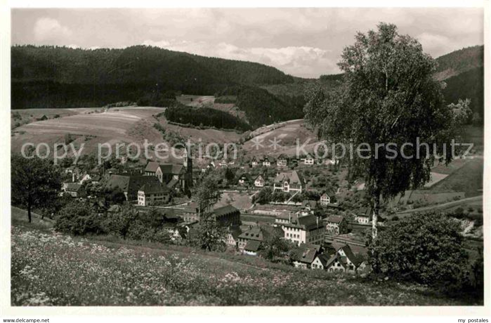 Alpirsbach Panorama