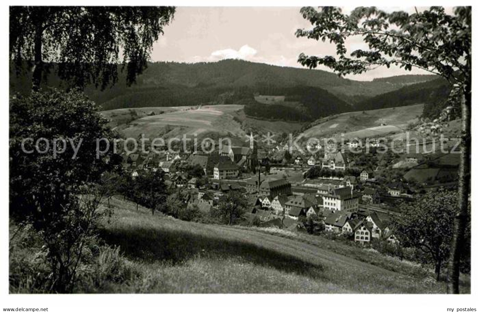 Alpirsbach Panorama