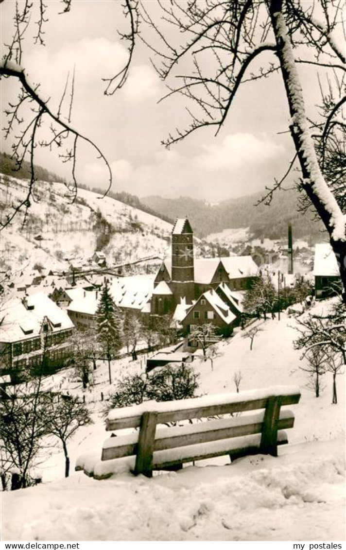 Alpirsbach Winterpanorama