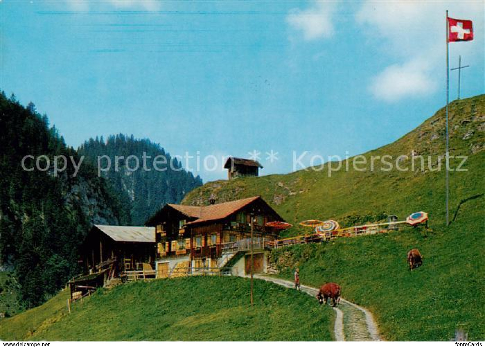 Alpnach Dorf Alpwirtschaft Luetholdsmatt