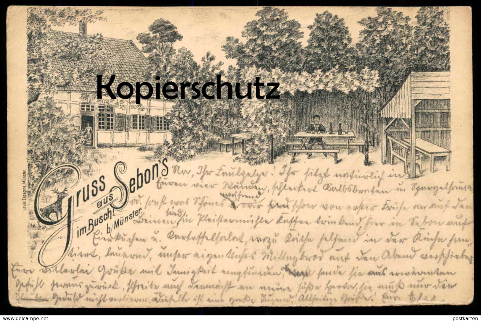 ALTE LITHO POSTKARTE GRUSS AUS SEBON'S BUSCH BEI MÜNSTER 1896 Westfalen Muenster Reh chevreuil Gremmendorf Vorläufer