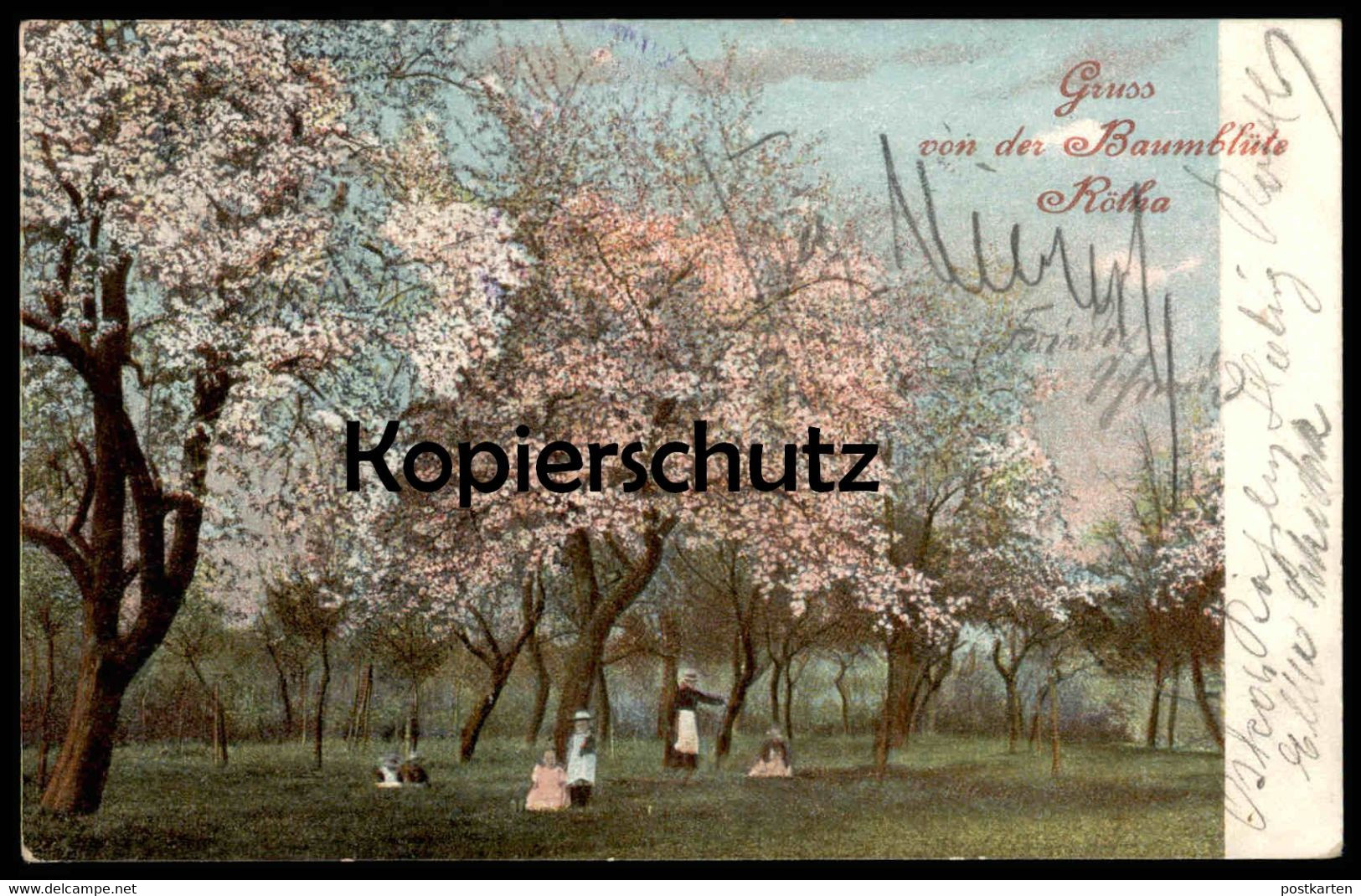 ALTE POSTKARTE GRUSS VON DER BAUMBLÜTE RÖTHA STEMPEL FREIHERRLICH VON FRIESEN'SCHE OBSTWEINSCHÄNKE INH. HÄNDLER