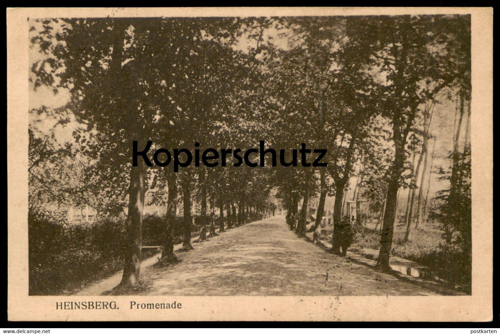 ALTE POSTKARTE HEINSBERG PROMENADE Allee alley Baum arbre tree cpa postcard Ansichtskarte AK belgische Militärpost