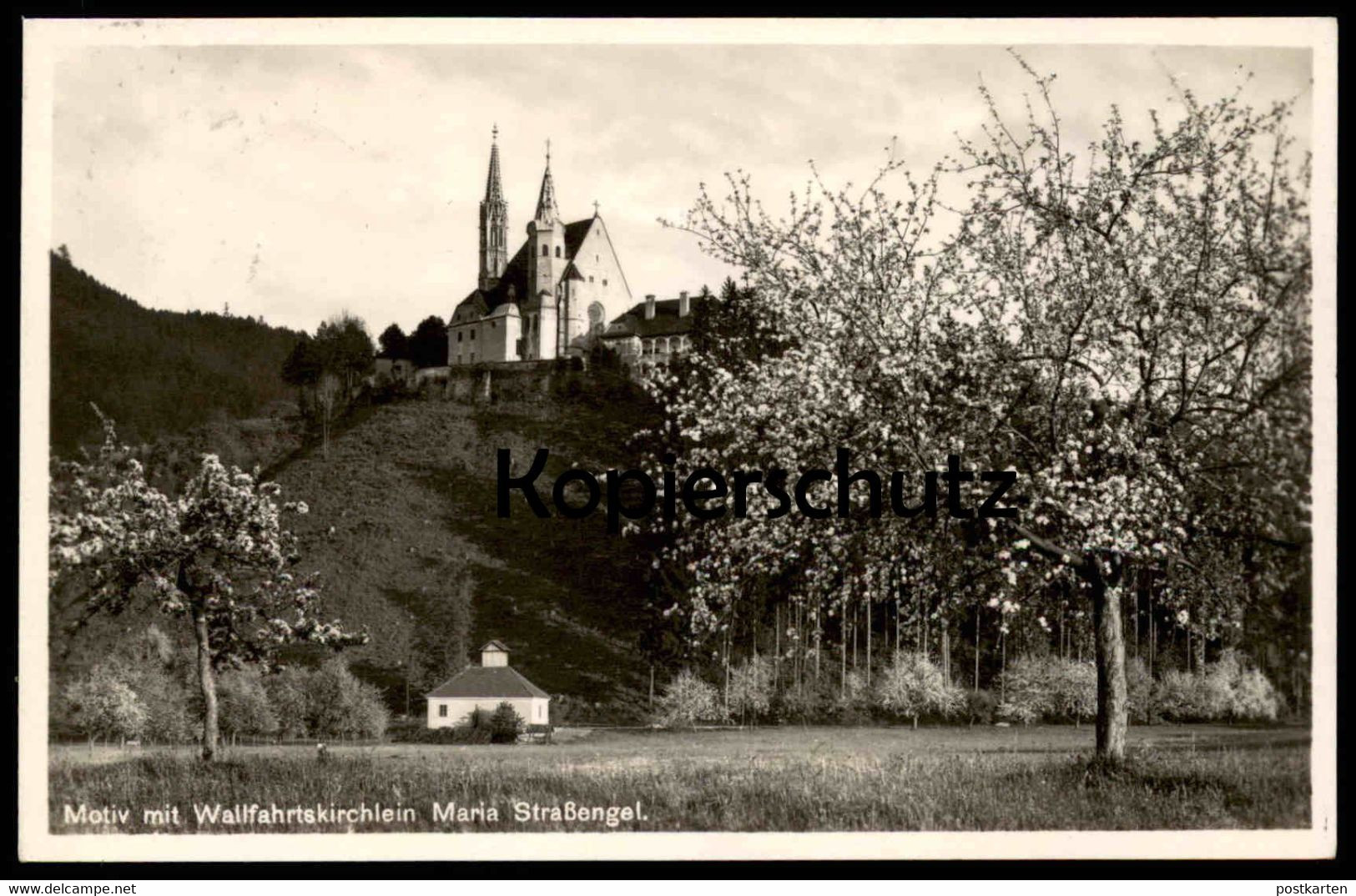 ALTE POSTKARTE JUDENDORF-STRASSENGEL WALLFAHRTSKIRCHE MARIA BEI GRAZ STEIERMARK AUSTRIA Autriche Kirschbaum Cherry tree