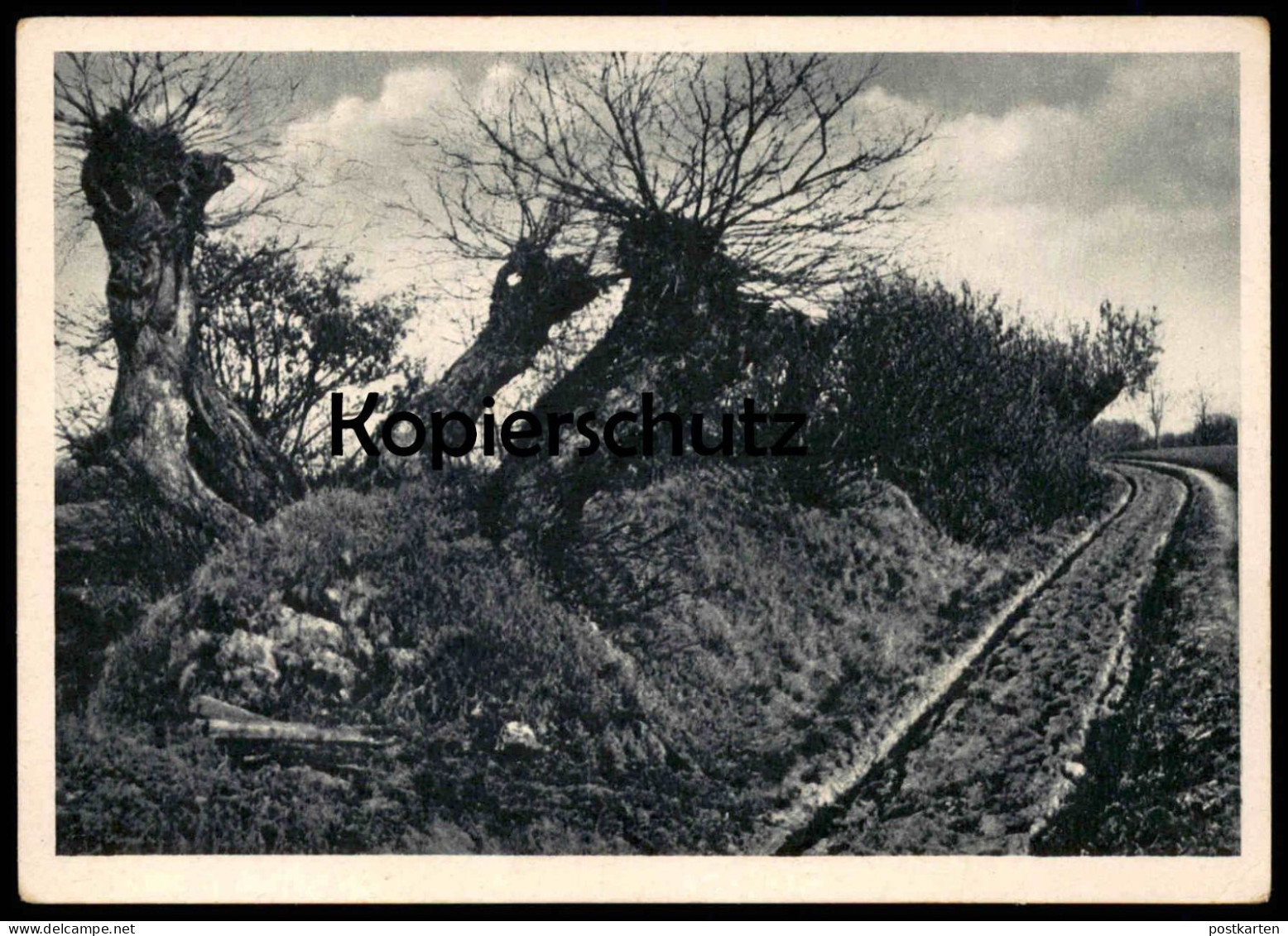 ALTE POSTKARTE LENGERICH IN WESTFALEN WALLHECKE (BEI RINGEL) Ansichtskarte AK postcard cpa