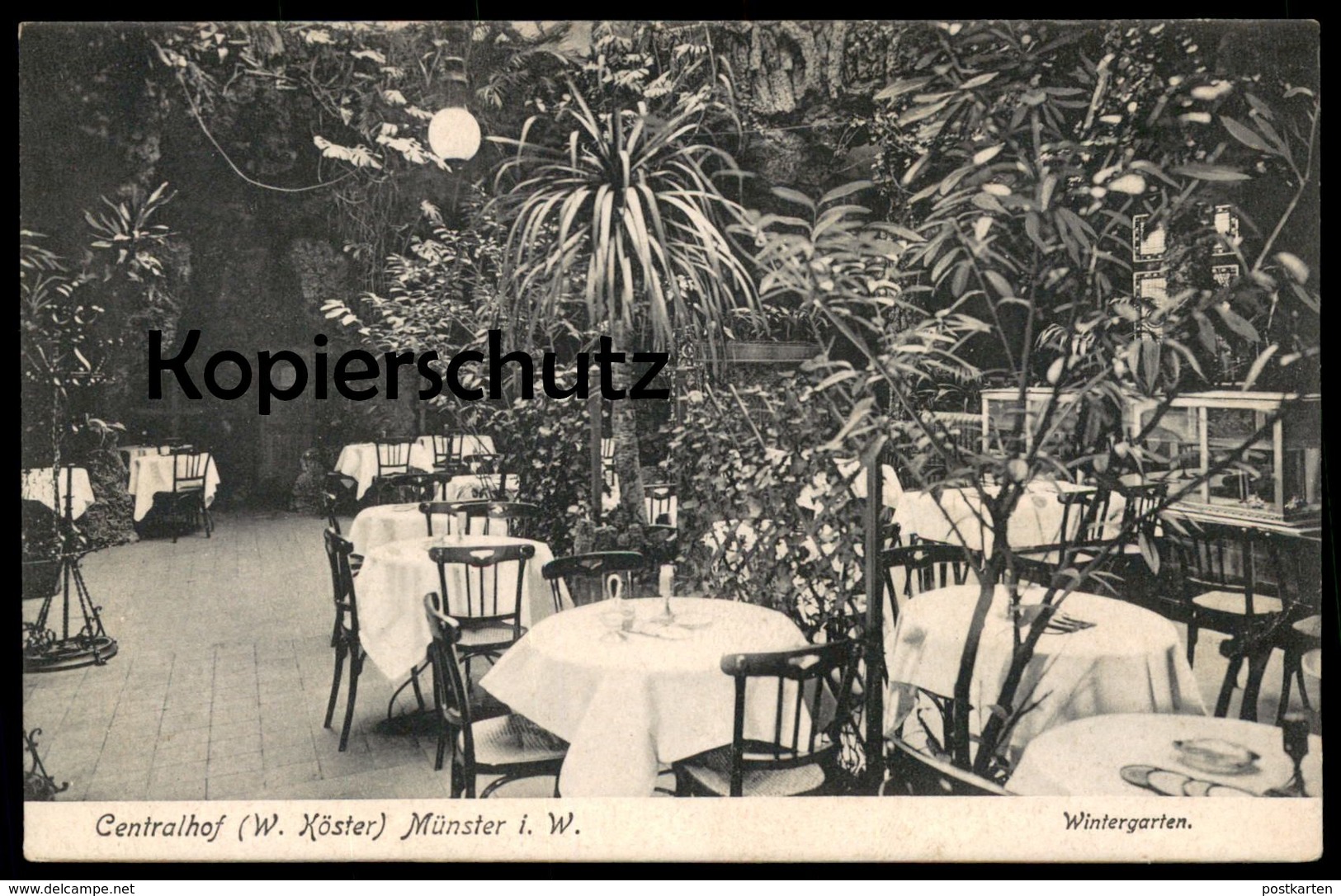 ALTE POSTKARTE MÜNSTER WESTFALEN CENTRALHOF W. KÖSTER WINTERGARTEN Restauration Ansichtskarte cpa postcard AK