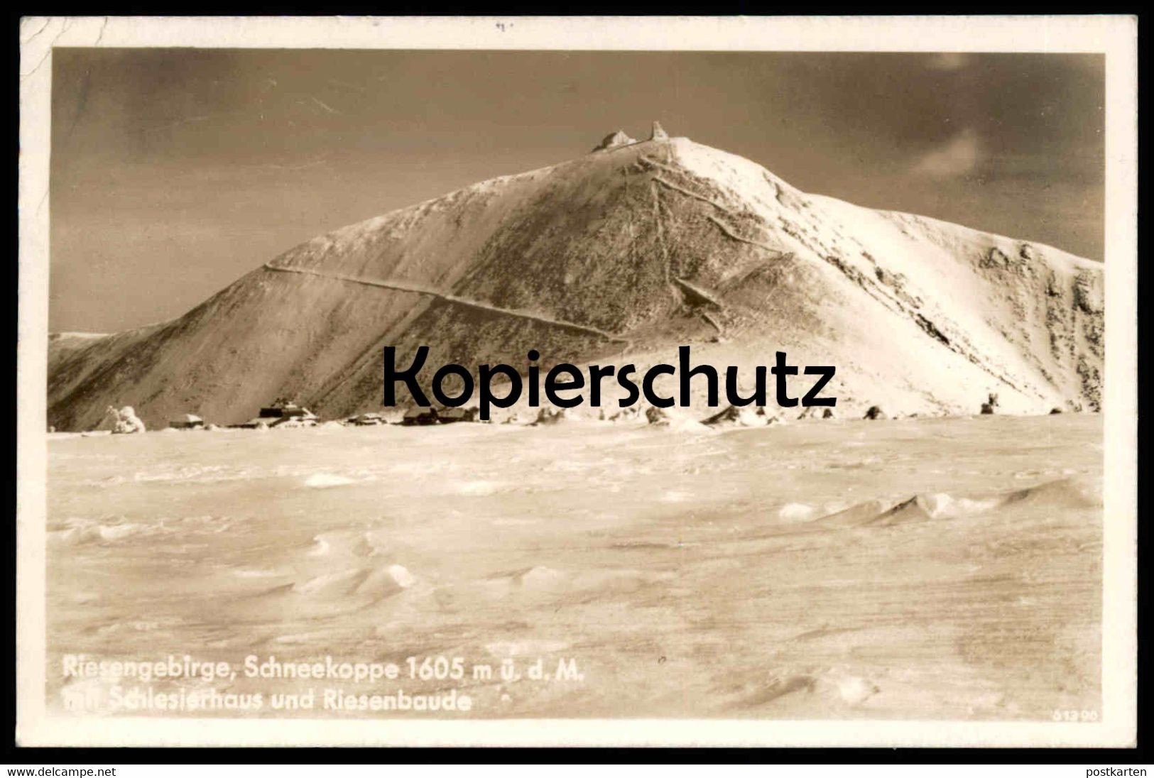ALTE POSTKARTE SCHNEEKOPPE SCHLESIERHAUS RIESENBAUDE RIESENGEBIRGE Snezka Sniezka Krkonose Karkonosze Sudeten postcard