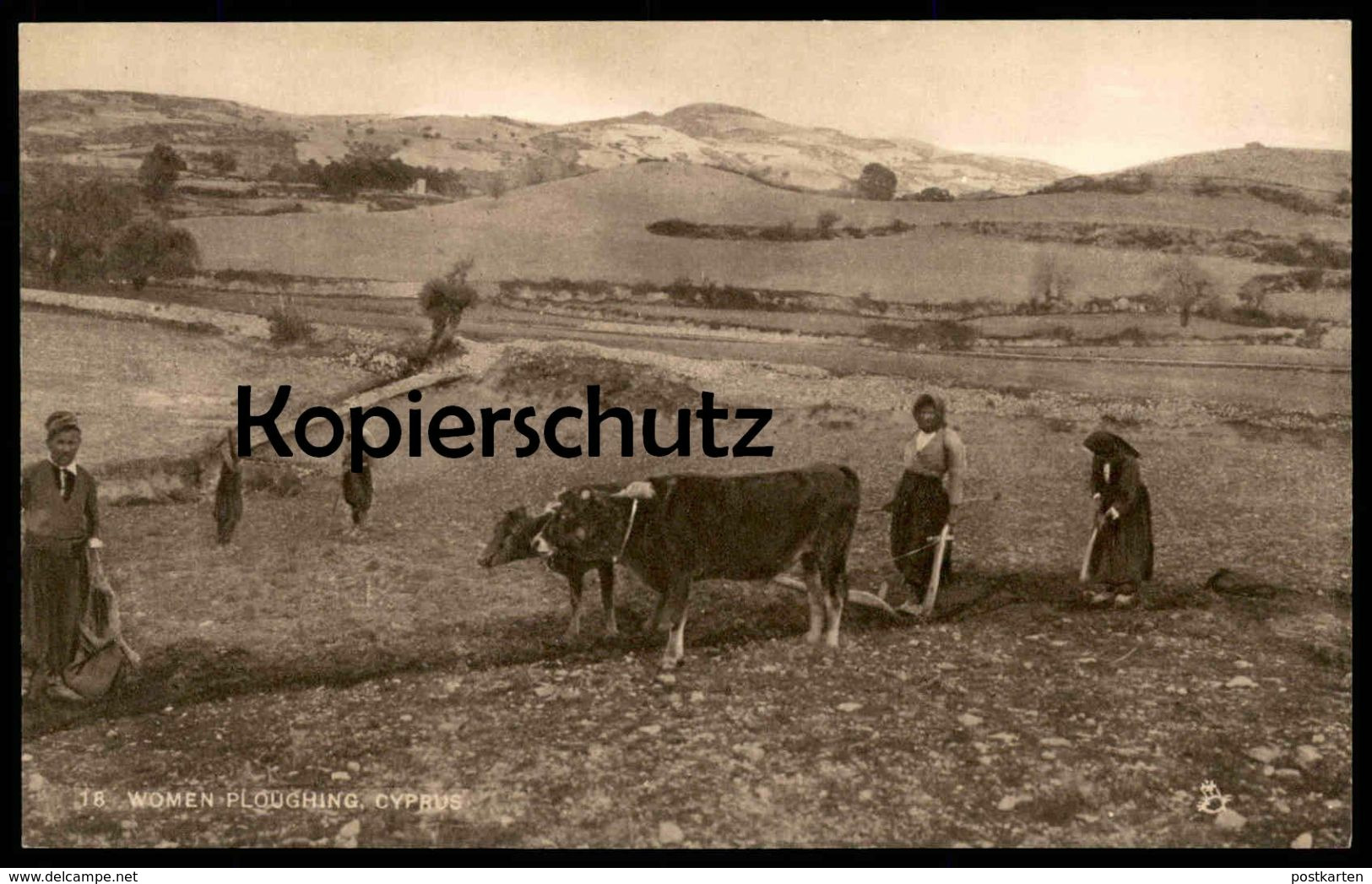 ALTE POSTKARTE WOMEN PLOUGHING CYPRUS RAPHAEL TUCK'S POSTCARD farmer Bauer Kühe Cows Vaches Chypre Zypern cultivateur AK