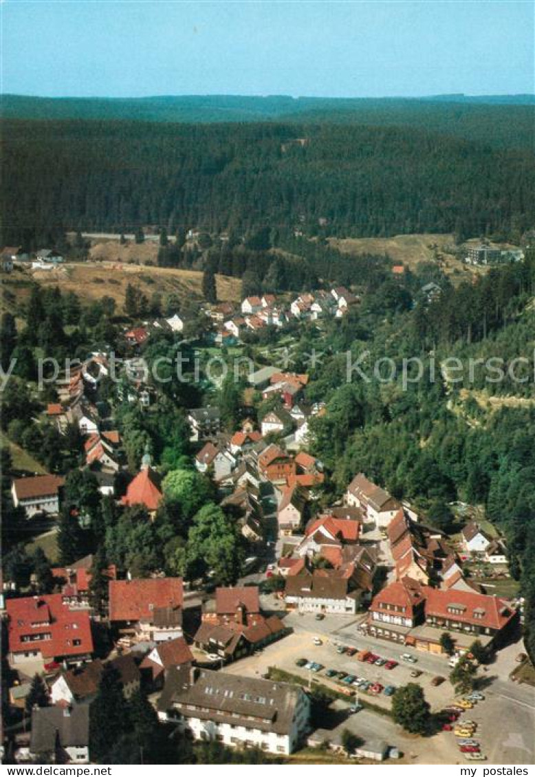 Altenau Harz Fliegeraufnahme