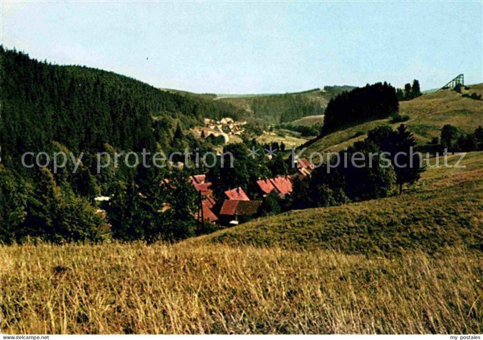 Altenau Harz Panorama