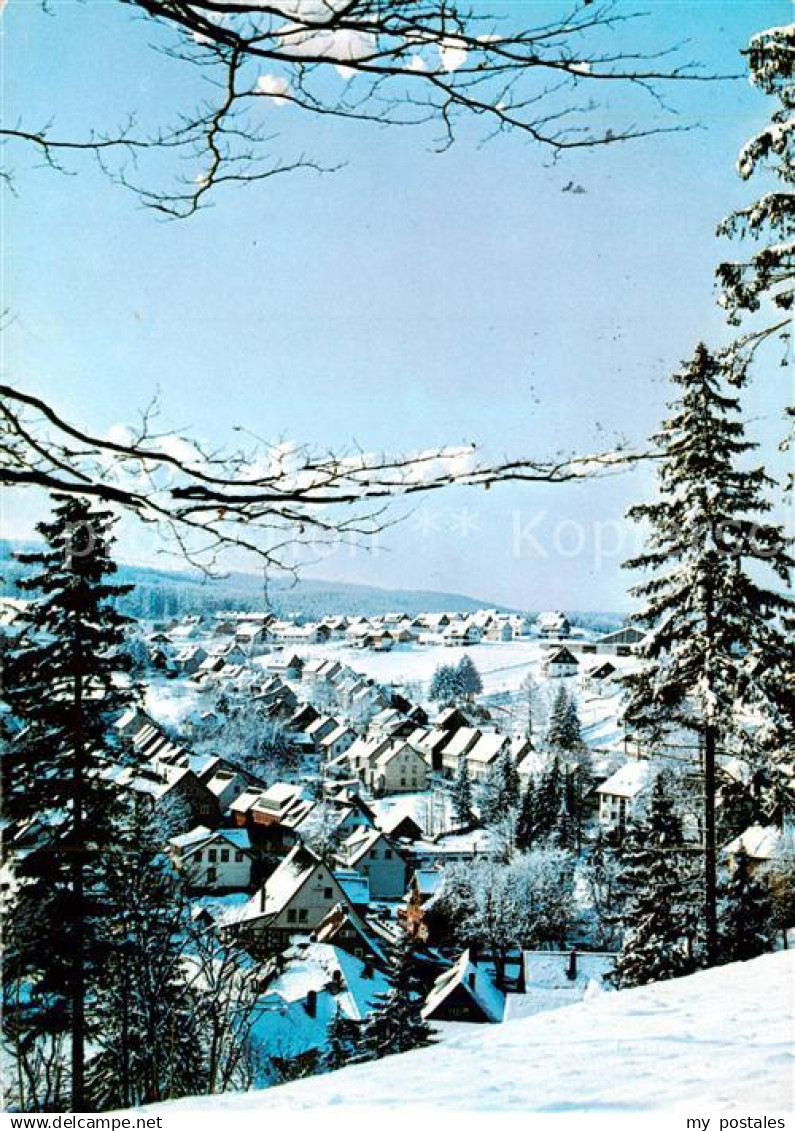Altenau Harz Winterpanorama